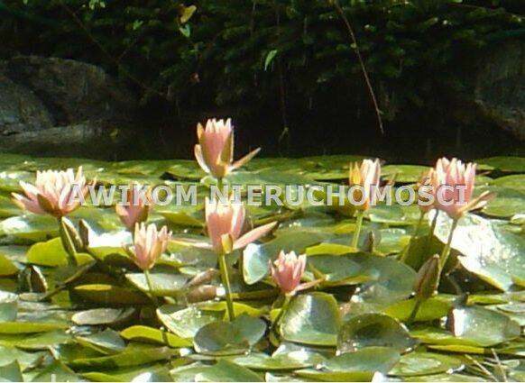 Działka budowlana Michałowice Pęcice