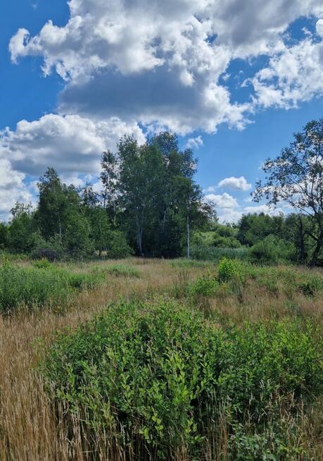 Działka budowlana Grabówka gm. Supraśl,