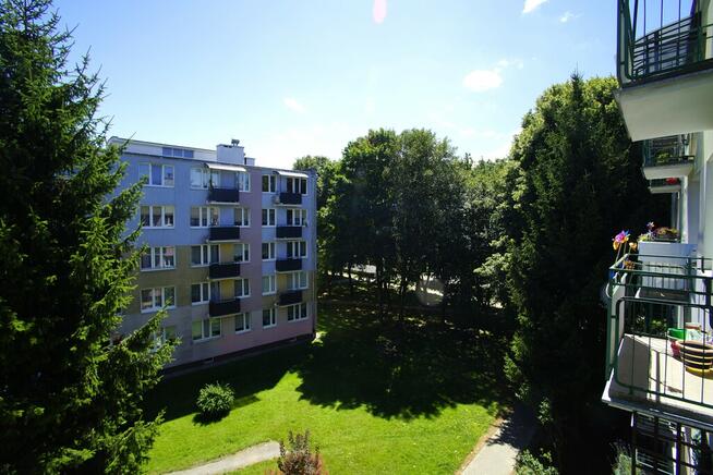 Dwupokojowe mieszkanie w centrum Świdnika