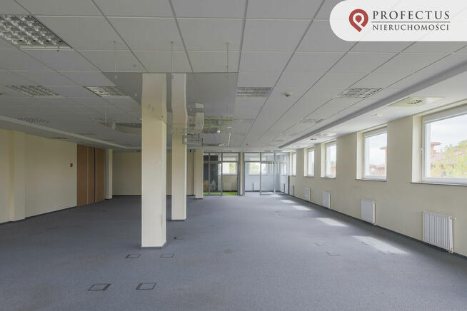 Lokal użytkowy Sopot