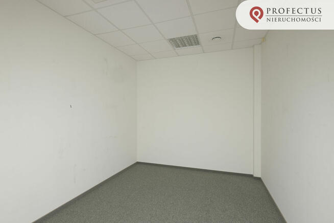 Lokal użytkowy Sopot