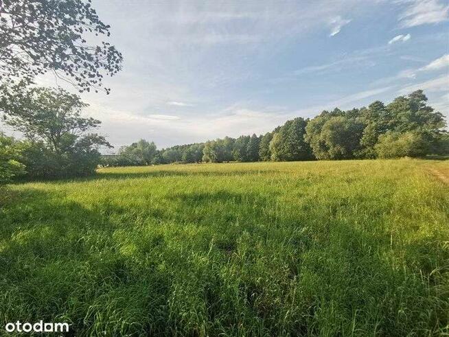 Sprzedam działkę rolną - 48 500 m2