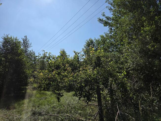 Sprzedam Działki Dąbrowa gmina Kuślin