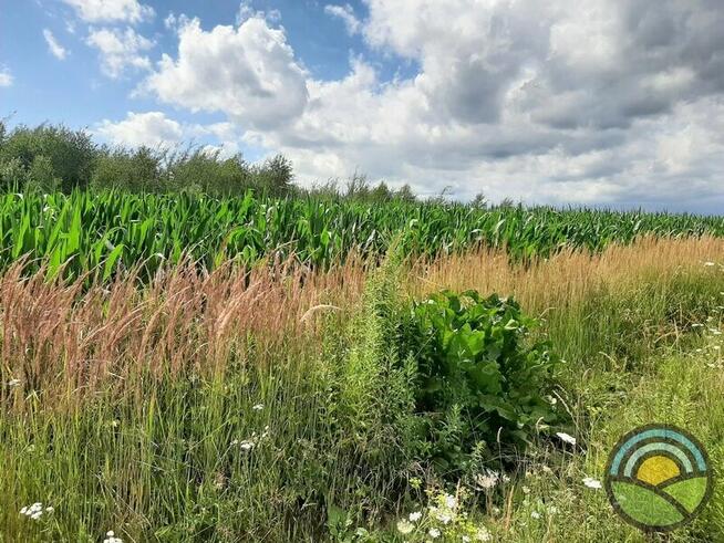 Więckowice gm. Zabierzów - działka 3200 m2