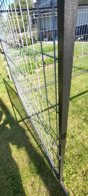 sprzedam kojec dla psa