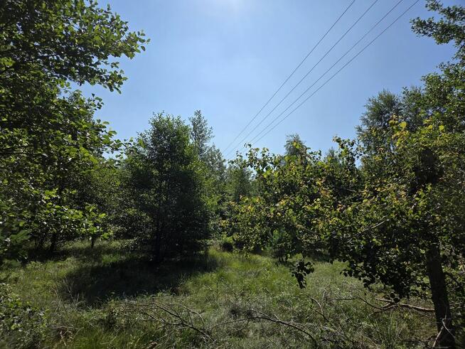 Sprzedam Działki Dąbrowa gmina Kuślin