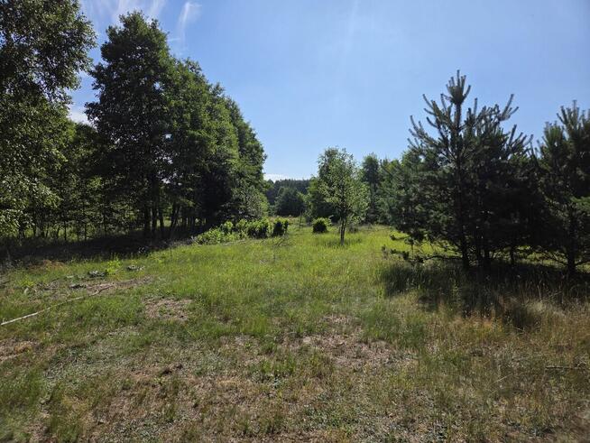 Sprzedam Działki Dąbrowa gmina Kuślin