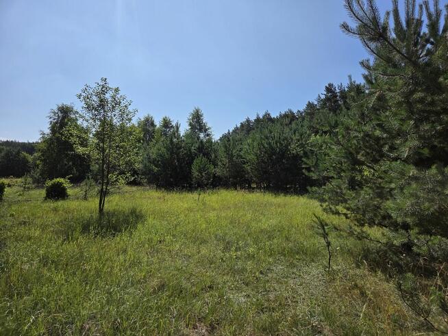 Sprzedam Działki Dąbrowa gmina Kuślin