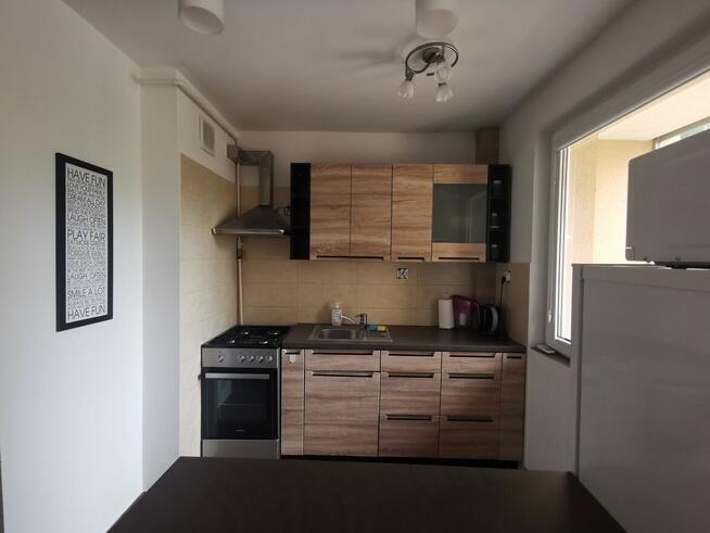 Kawalerka do wynajęcia blisko UMB