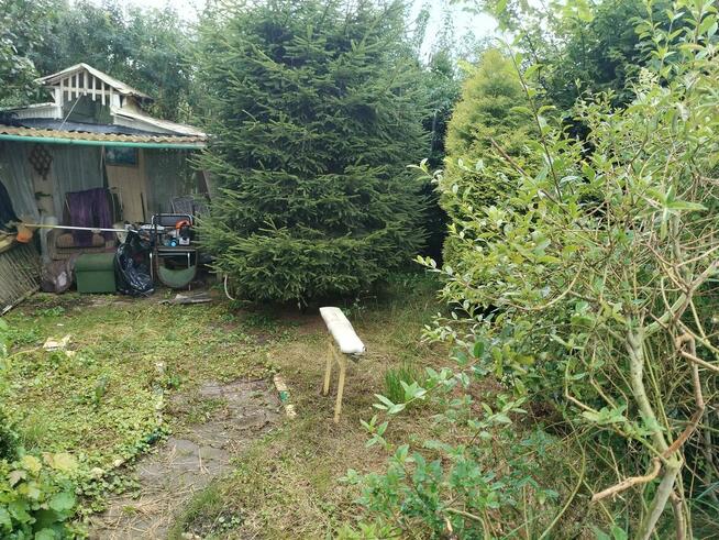 Sprzedam działkę ROD