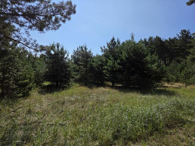 Sprzedam Działki Dąbrowa gmina Kuślin