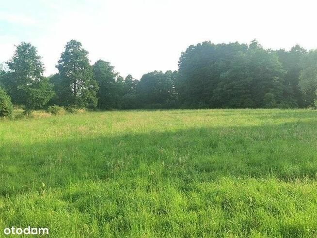 Sprzedam działkę rolną - 48 500 m2