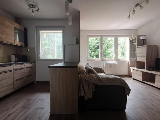 Kawalerka do wynajęcia blisko UMB