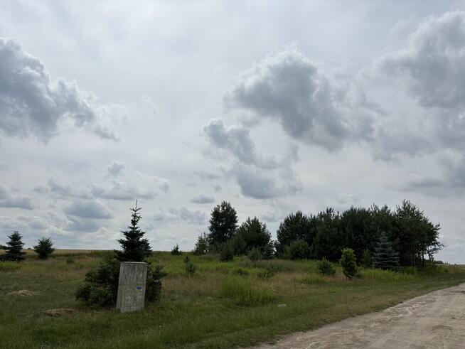 Dom jednorodzinny parterowy Prawiedniki