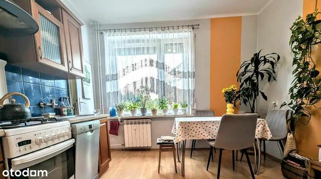 Mieszkanie na 1 piętrze, 2 pokoje, 49m, balkon, piwnica