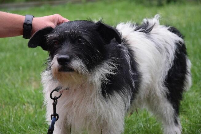 NIKOŚ uwolniony z zamknięcia czeka na dom