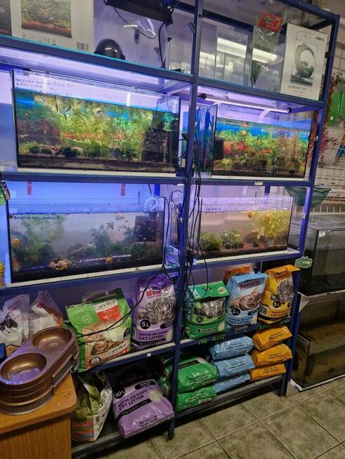 Sprzedam sklep akwarystyczno-zoologiczny