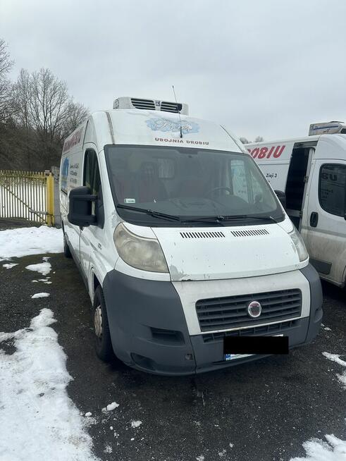 Sprzedam Fiat Ducato - samochód dostawczy izoterma/chłodnia