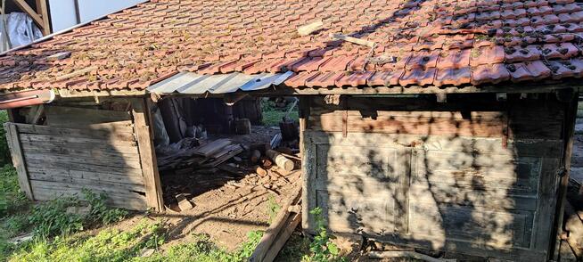 Oddam wiatę jak na foto i kilka powalonych z lasu drzew - Ko