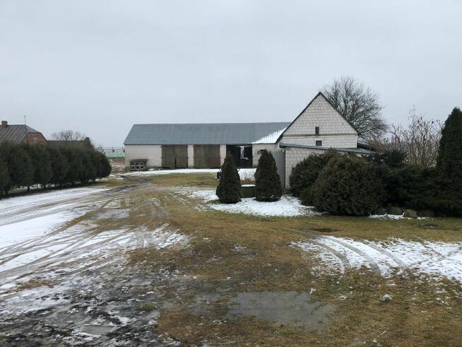 Syndyk sprzeda budynek mieszkalny i ziemię rolną -Białogrądy