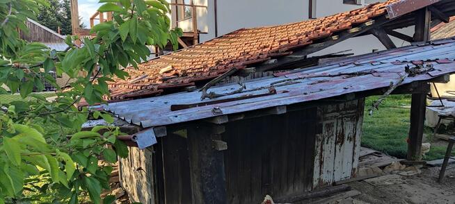 Oddam wiatę jak na foto i kilka powalonych z lasu drzew - Ko