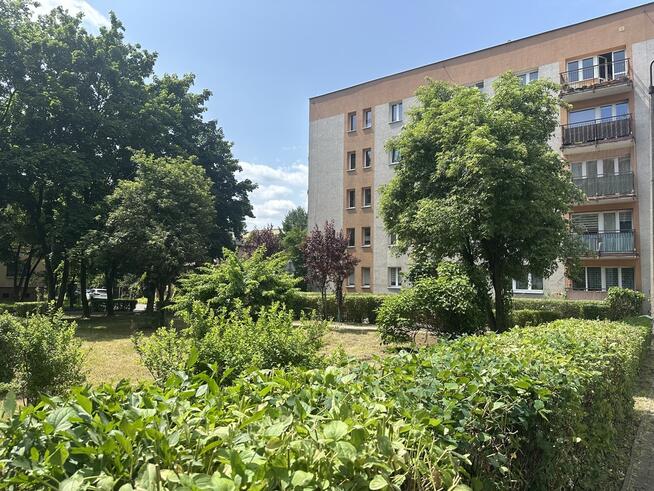 Brynów Rolna 2 pokoje z wyposażeniem