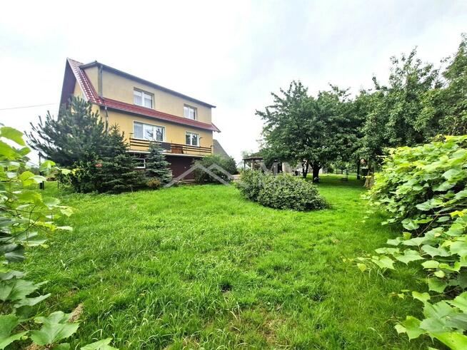 Siedlisko z domem i budynkami – 1,5 ha ziemi.