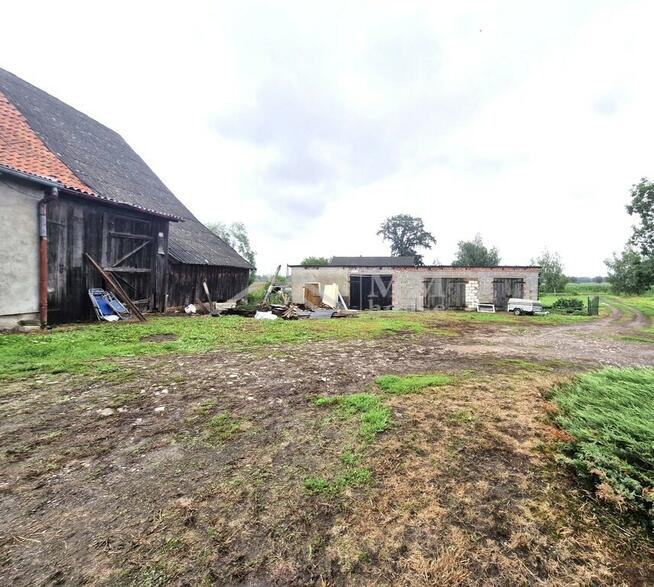 Siedlisko z domem i budynkami – 1,5 ha ziemi.