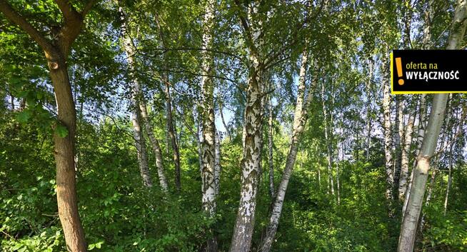 Działka rolna Żuków gm. Solec-Zdrój,