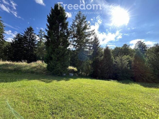 Działka budowlana przy lesie!