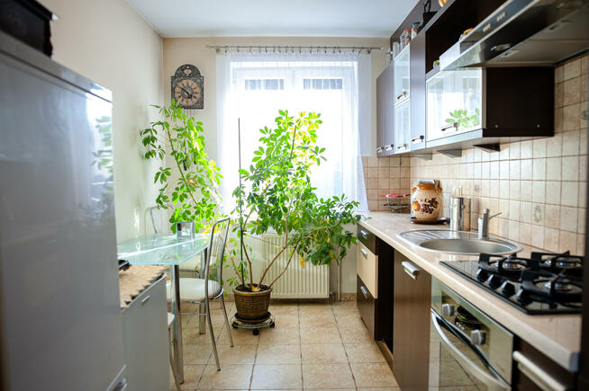 Dom Łoniowa gm. Dębno