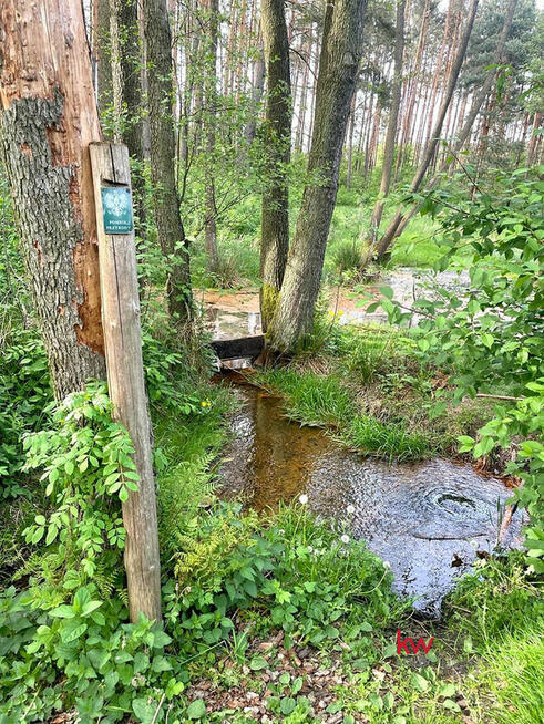 Działka rekreacyjna Wierzchlas,