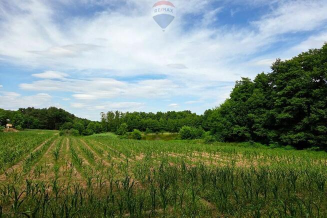 Działka przy jeziorze, blisko Pniew