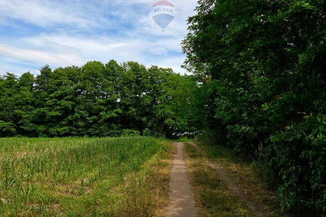 Działka przy jeziorze, blisko Pniew