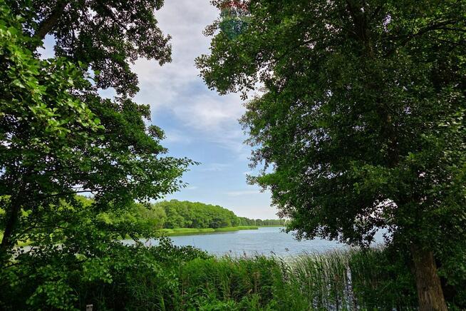 Działka przy jeziorze, blisko Pniew