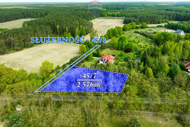 Malownicza działka / Gryżyński Park Krajobrazowy