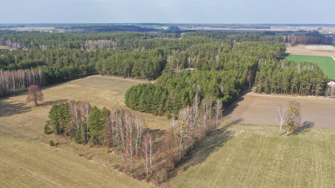 Dom Szafranki gm. Łyse