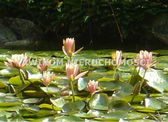 Działka budowlana Michałowice Pęcice