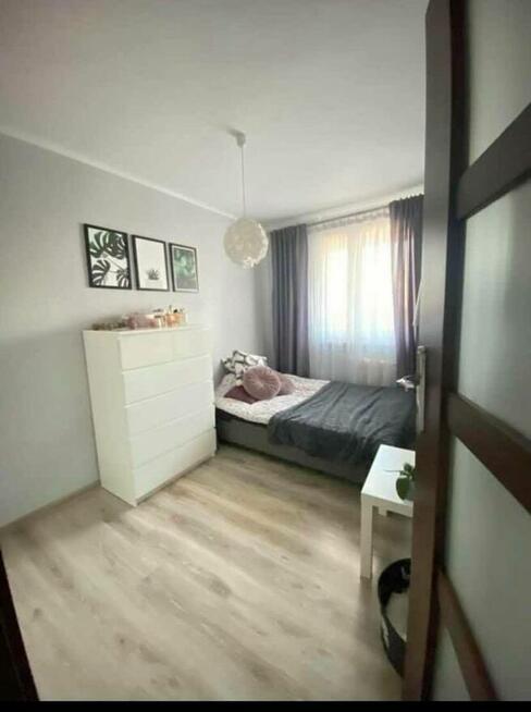 MIESZKANIE NA KOSZUTCE KATOWICE