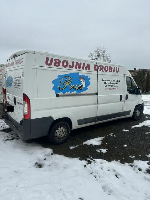Sprzedam Fiat Ducato - samochód dostawczy izoterma/chłodnia