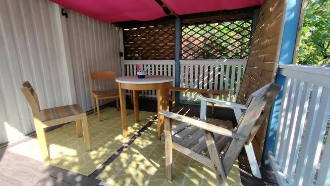 Urocza działka ROD z altanką, nasadzeniami i wyposażeniem