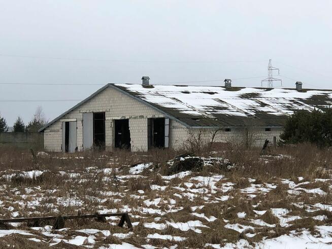 Syndyk sprzeda grunty rolne i budynek