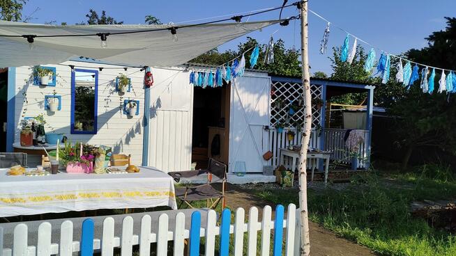 Urocza działka ROD z altanką, nasadzeniami i wyposażeniem