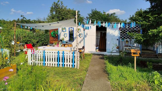 Urocza działka ROD z altanką, nasadzeniami i wyposażeniem