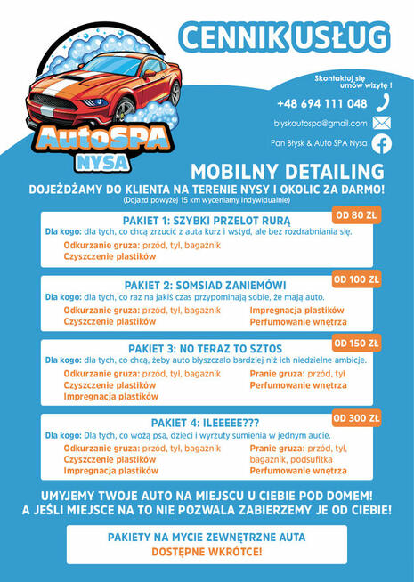 Pranie kanap, mebli tapicerowanych NYSA