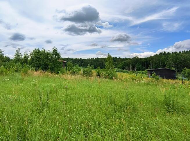 Działka rekreacyjna z domkiem holenderskim i WZ, Głodowo