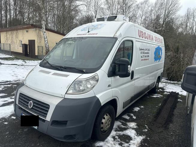 Sprzedam Fiat Ducato - samochód dostawczy izoterma/chłodnia