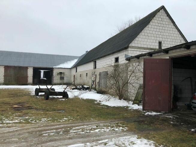 Syndyk sprzeda budynek mieszkalny i ziemię rolną -Białogrądy