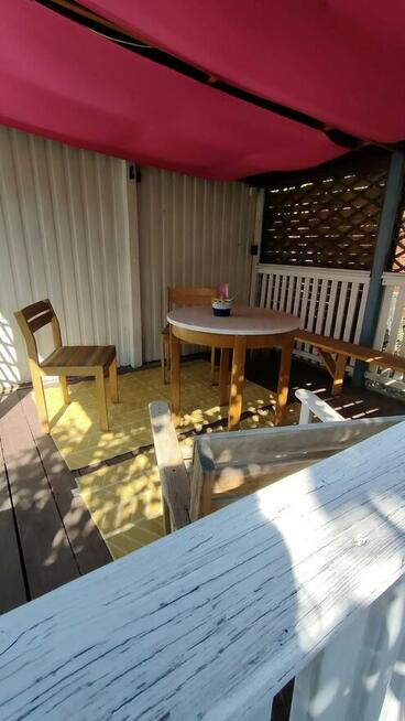 Urocza działka ROD z altanką, nasadzeniami i wyposażeniem