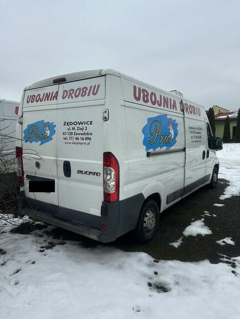 Sprzedam Fiat Ducato - samochód dostawczy izoterma/chłodnia